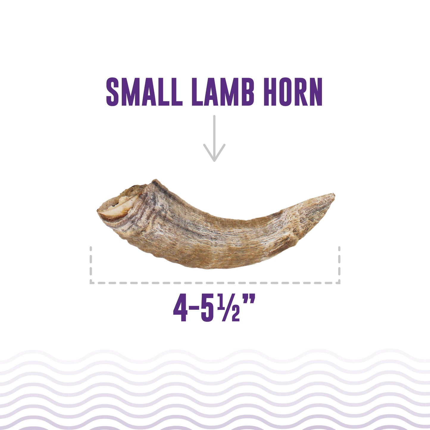 Small Lamb Horn with Marrow Dog Treat: 1-ct (Single)