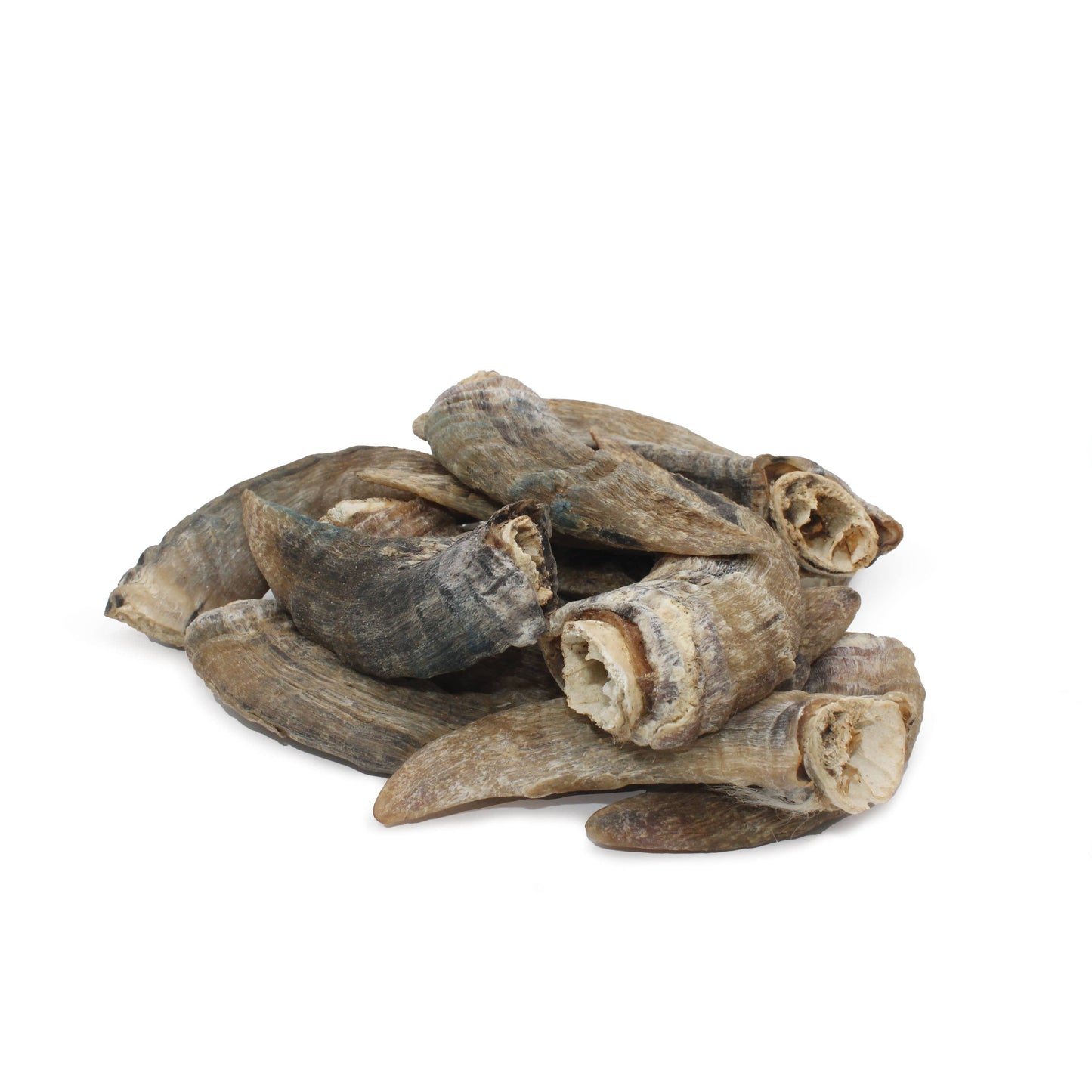 Small Lamb Horn with Marrow Dog Treat: 1-ct (Single)