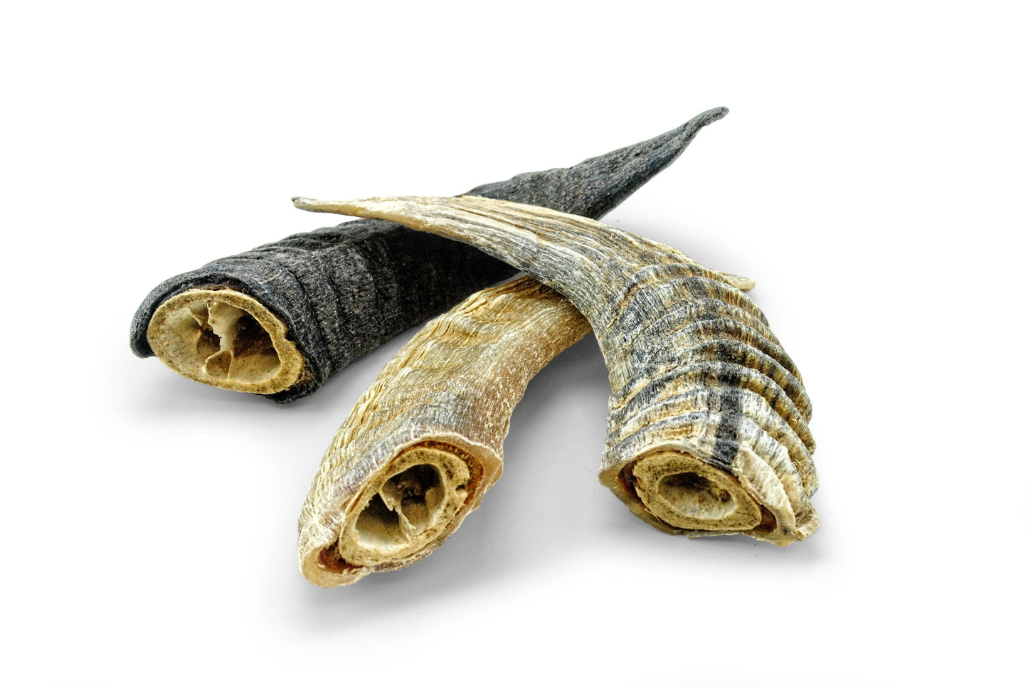 Small Lamb Horn with Marrow Dog Treat: 1-ct (Single)